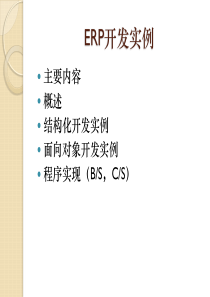 ERP开发实例（PPT56页)