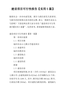 建设项目可行性报告【实用5篇】
