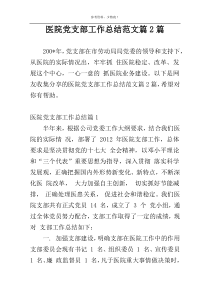 医院党支部工作总结范文篇2篇