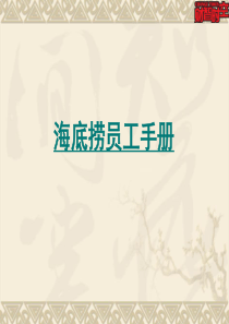 海底捞奖励机制手册