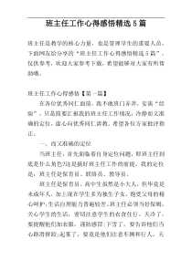 班主任工作心得感悟精选5篇
