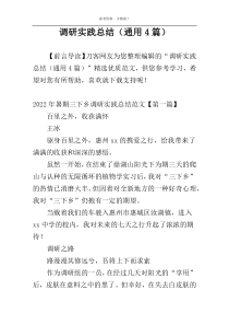 调研实践总结（通用4篇）