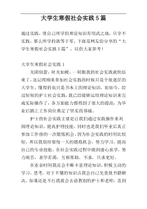 大学生寒假社会实践5篇