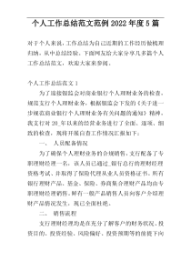 个人工作总结范文范例2022年度5篇