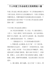 个人年度工作总结范文范例简短5篇