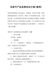 圣诞节产品促销活动方案(案例)