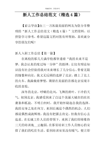 新人工作总结范文（精选4篇）
