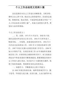 个人工作总结范文范例5篇
