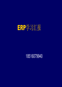 产品生命周期战略