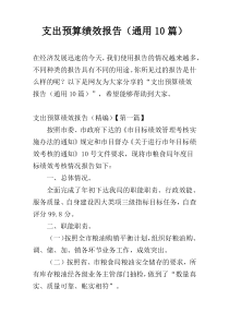 支出预算绩效报告（通用10篇）