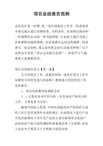 项目总结报告范例