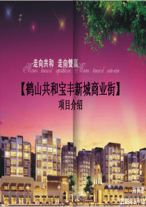 房地产项目介绍(商业部分)