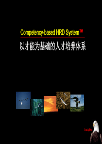 以才能为基础的人才培养体系v0-2