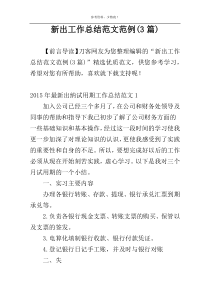 新出工作总结范文范例(3篇)
