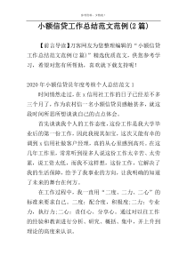 小额信贷工作总结范文范例(2篇)