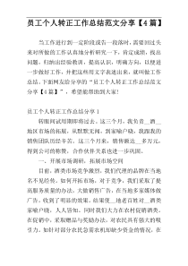 员工个人转正工作总结范文分享【4篇】