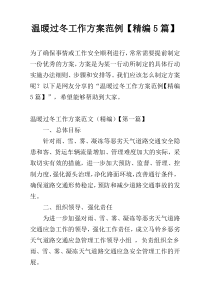 温暖过冬工作方案范例【精编5篇】