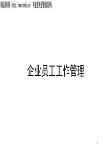 企业员工工作管理（PPT52页）