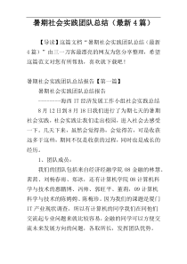 暑期社会实践团队总结（最新4篇）