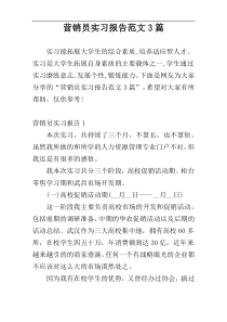 营销员实习报告范文3篇