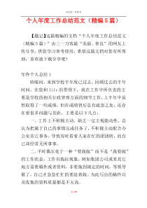 个人年度工作总结范文（精编5篇）