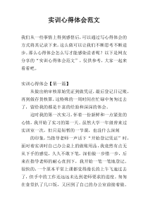 实训心得体会范文