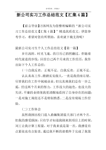 新公司实习工作总结范文【汇集4篇】