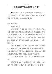 团委实习工作总结范文3篇