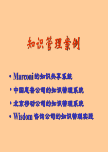 知识管理案例(新)