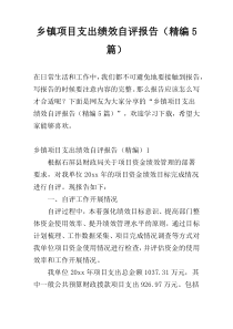 乡镇项目支出绩效自评报告（精编5篇）