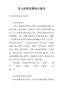 无人机项目商业计划书