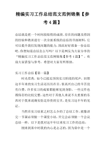 精编实习工作总结范文范例锦集【参考4篇】