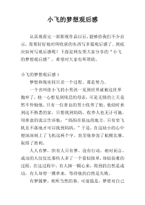 小飞的梦想观后感