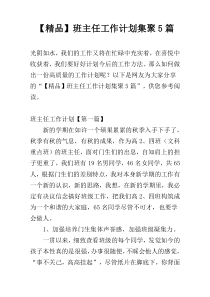 【精品】班主任工作计划集聚5篇
