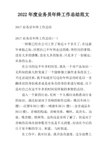 2022年度业务员年终工作总结范文