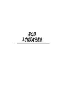 公司人才梯队建设思路
