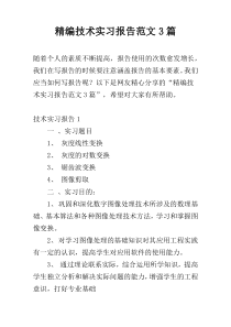精编技术实习报告范文3篇