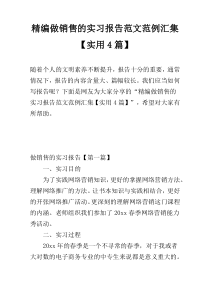精编做销售的实习报告范文范例汇集【实用4篇】