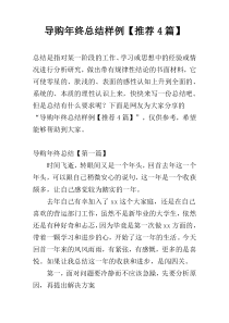 导购年终总结样例【推荐4篇】