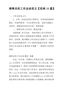 销售员的工作总结范文【范例10篇】