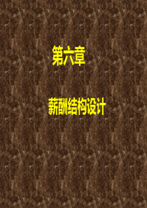 薪酬管理第6章薪酬结构设计