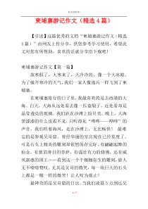 柬埔寨游记作文（精选4篇）