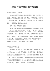 2022年度审计助理年终总结