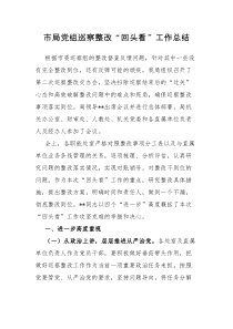 市局党组巡察整改回头看工作总结