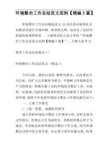 环境整治工作总结范文范例【精编5篇】