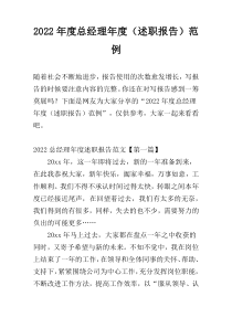 2022年度总经理年度（述职报告）范例