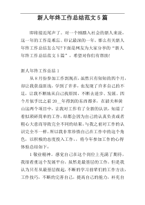 新人年终工作总结范文5篇