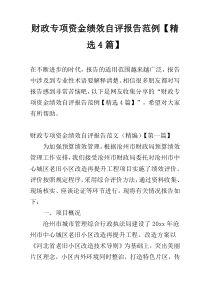 财政专项资金绩效自评报告范例【精选4篇】