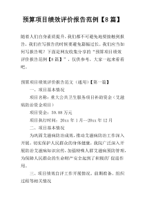 预算项目绩效评价报告范例【8篇】