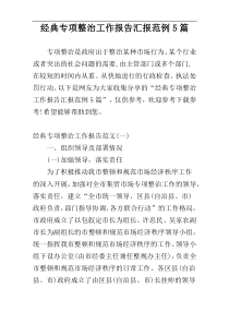 经典专项整治工作报告汇报范例5篇